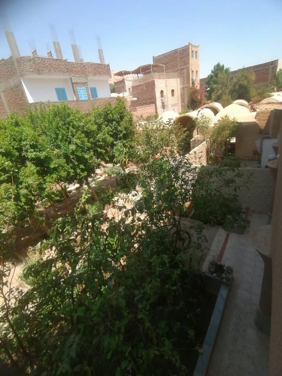 Rose Guest House Luxor Luaran gambar