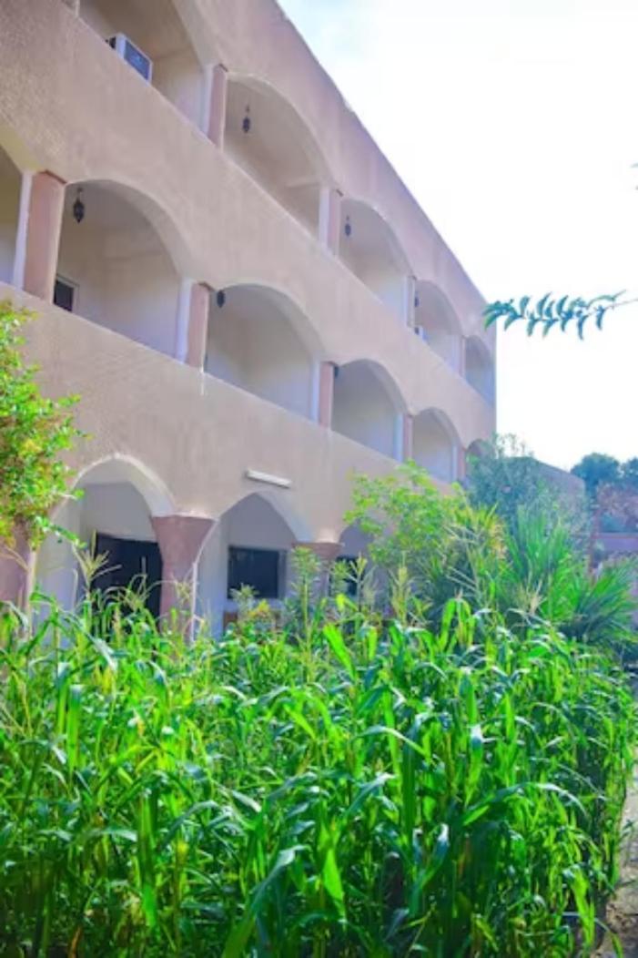 Rose Guest House Luxor Luaran gambar
