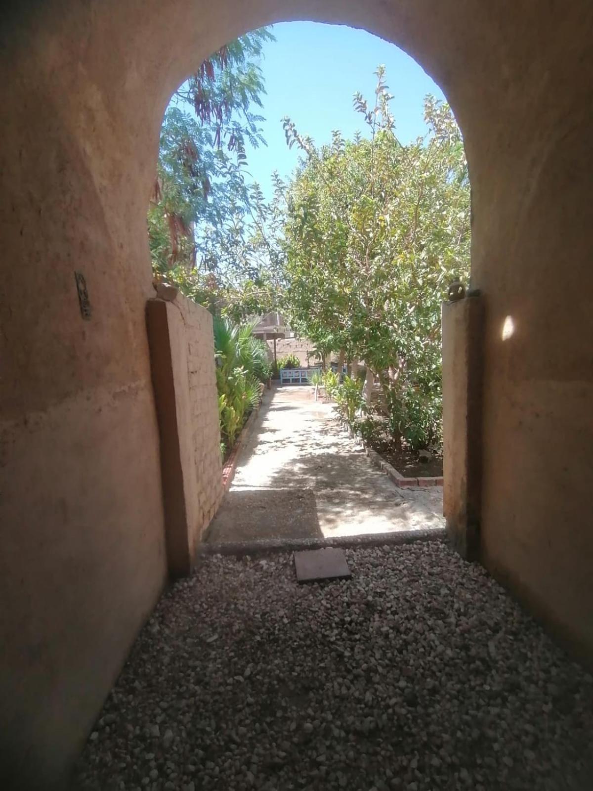 Rose Guest House Luxor Luaran gambar