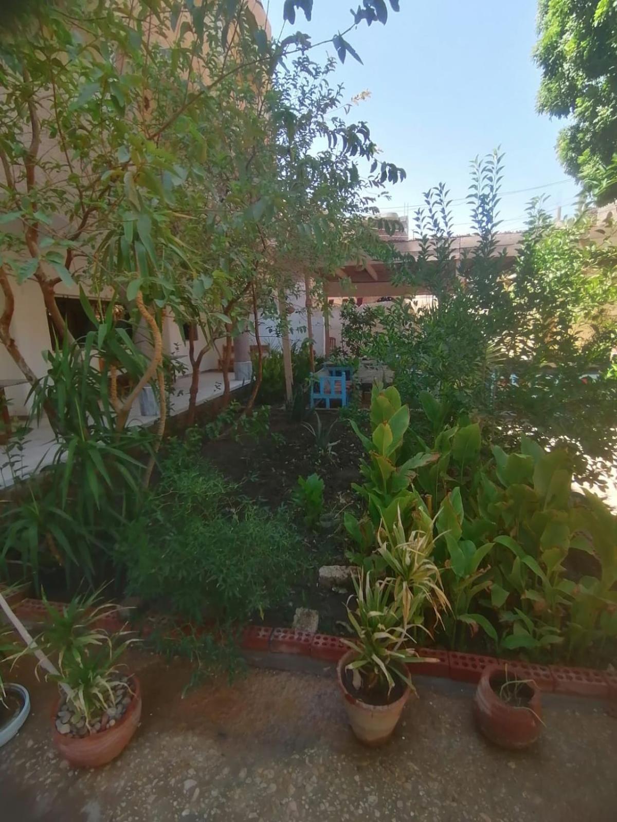 Rose Guest House Luxor Luaran gambar