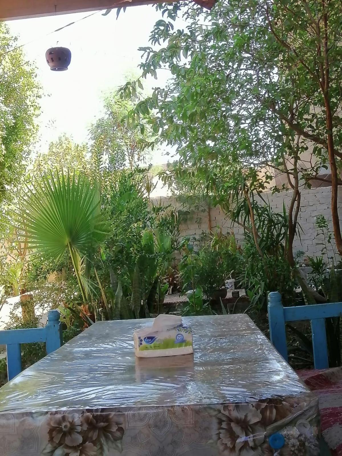 Rose Guest House Luxor Luaran gambar