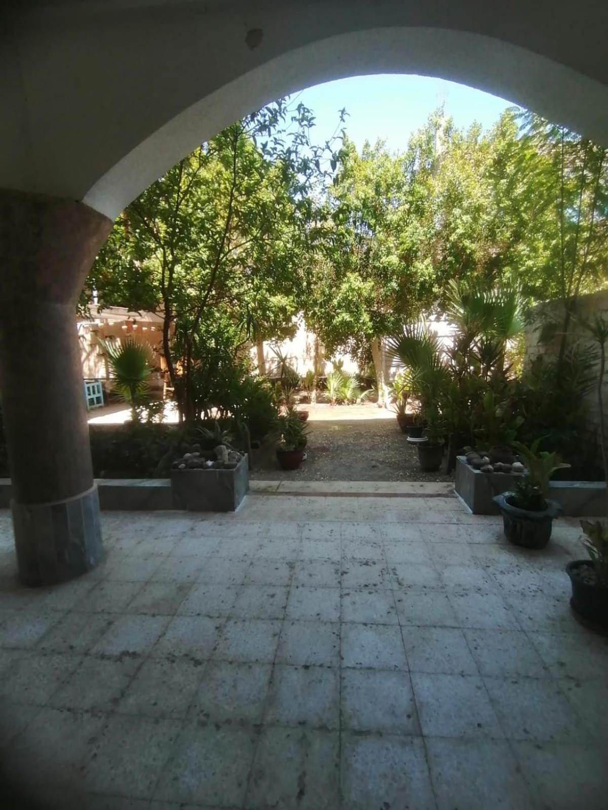 Rose Guest House Luxor Luaran gambar