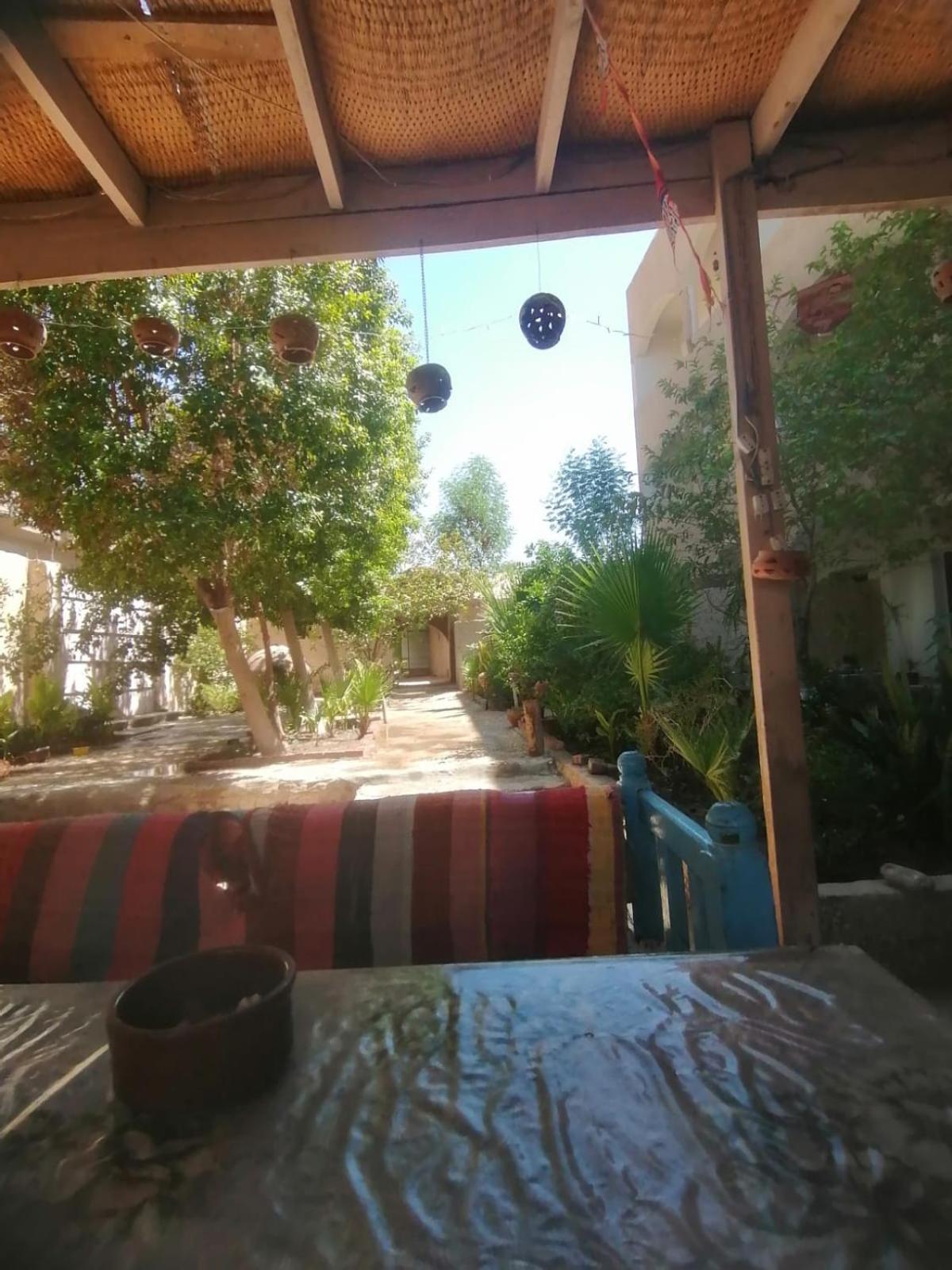 Rose Guest House Luxor Luaran gambar