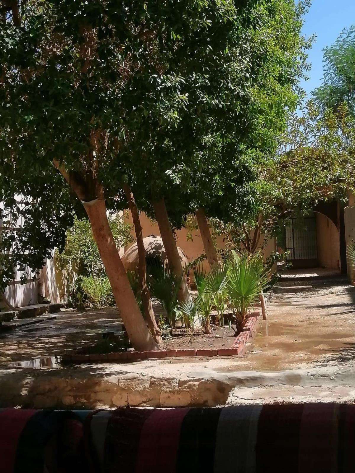 Rose Guest House Luxor Luaran gambar