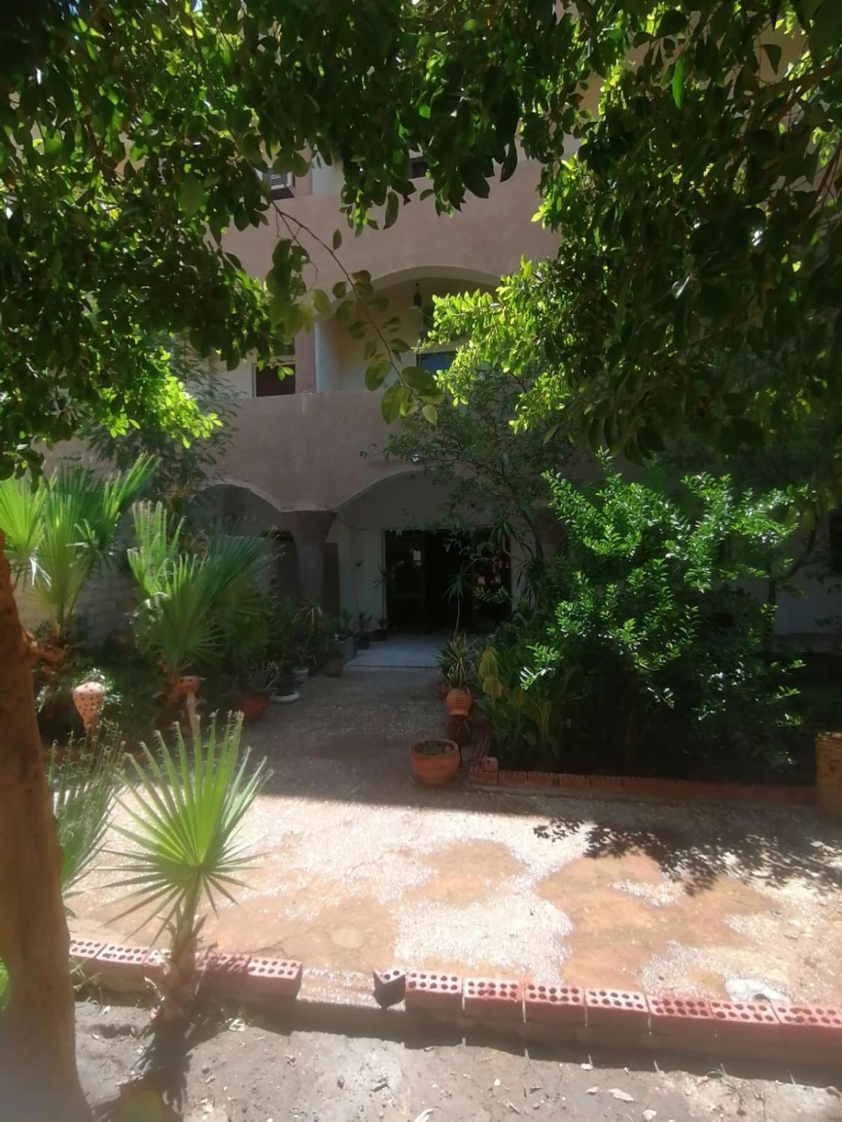 Rose Guest House Luxor Luaran gambar